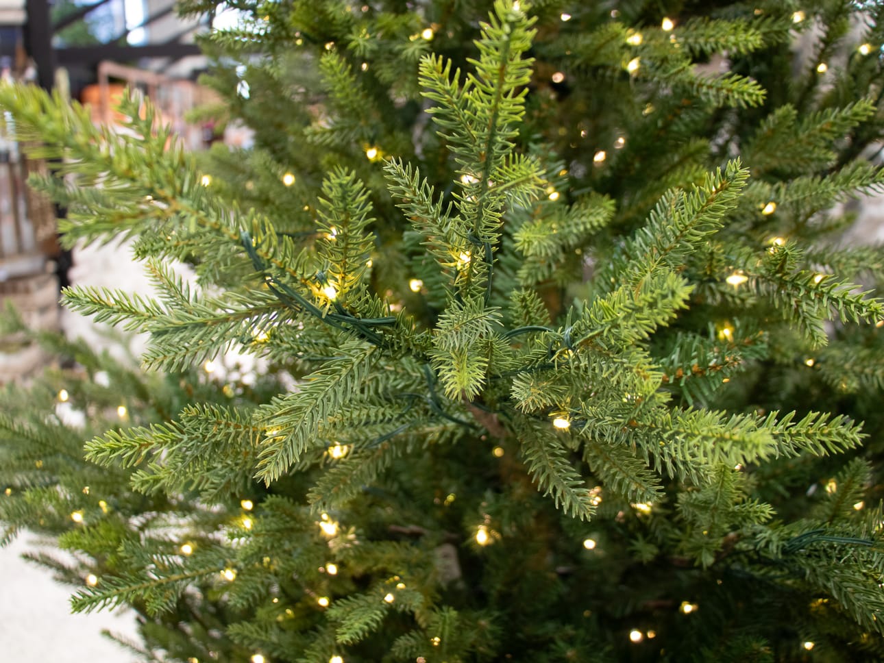 Varisemattomat, vuodesta toiseen näyttävinä pysyvät ja hätkähdyttävän aidon oloiset kestokuuset ovat rantautumassa Suomeenkin.