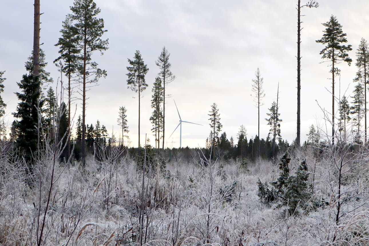Suomen uusiutuvat ry:n tiedotteessa kerrotaan, että sähkön kysynnän kasvaessa Suomella on edellytykset lisätä uutta tuulivoimakapasiteettia arviolta 1 000–2 500 megawattia vuodessa.