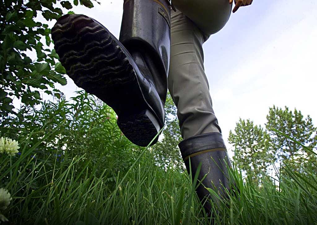 Punkeilta kannattaa suojautua kaikin keinoin.