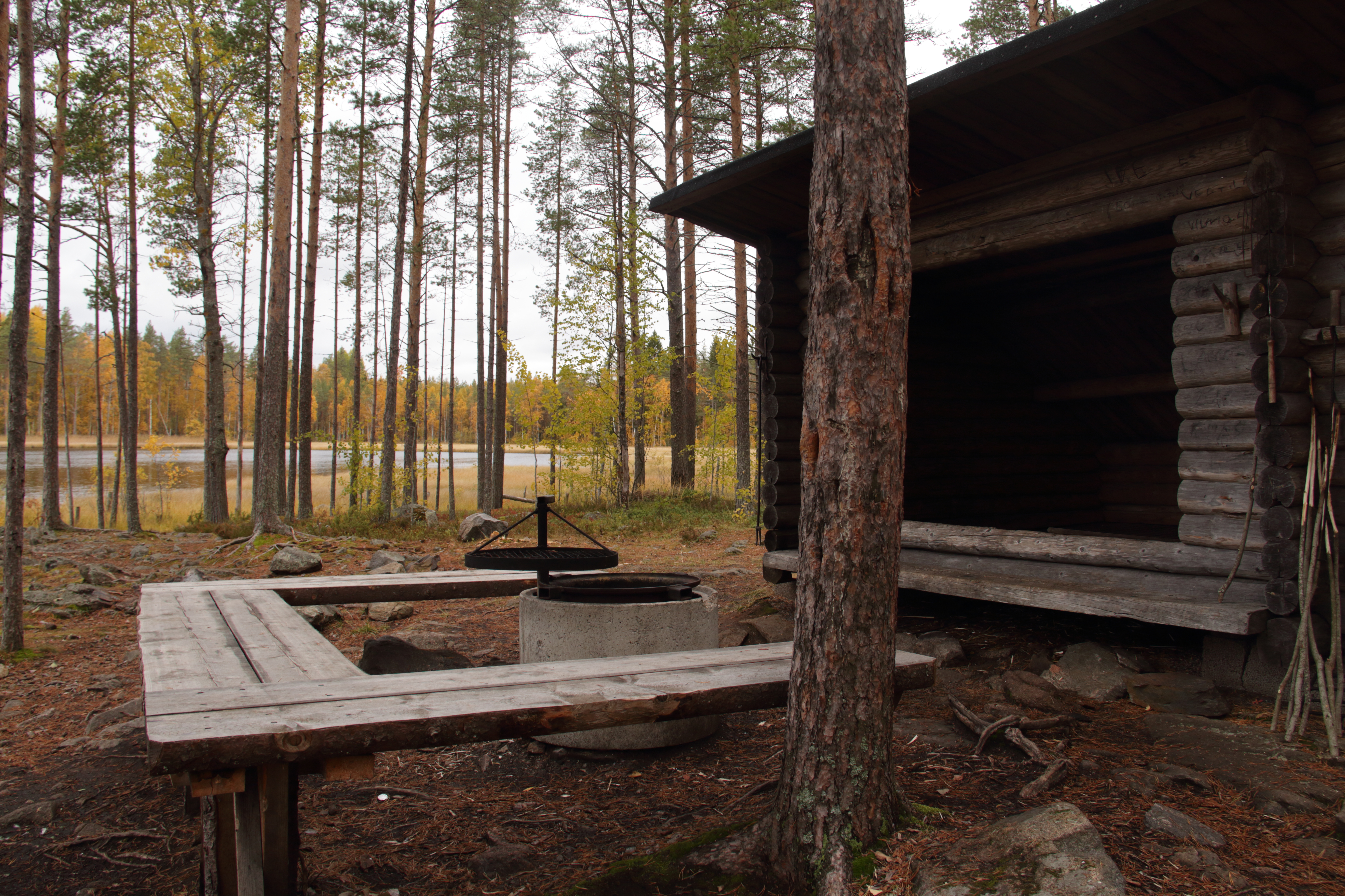 Alueella oleva laavu säästyi nipin napin metsäpalolta. Sitä käytetään nykyäänkin ahkerasti.
