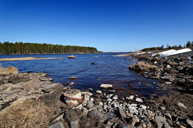 Vesi oli tiistaina vähissä vielä myös Kyrkösjärvessä Seinäjoella. KUVA: KARI LÖFHJELM