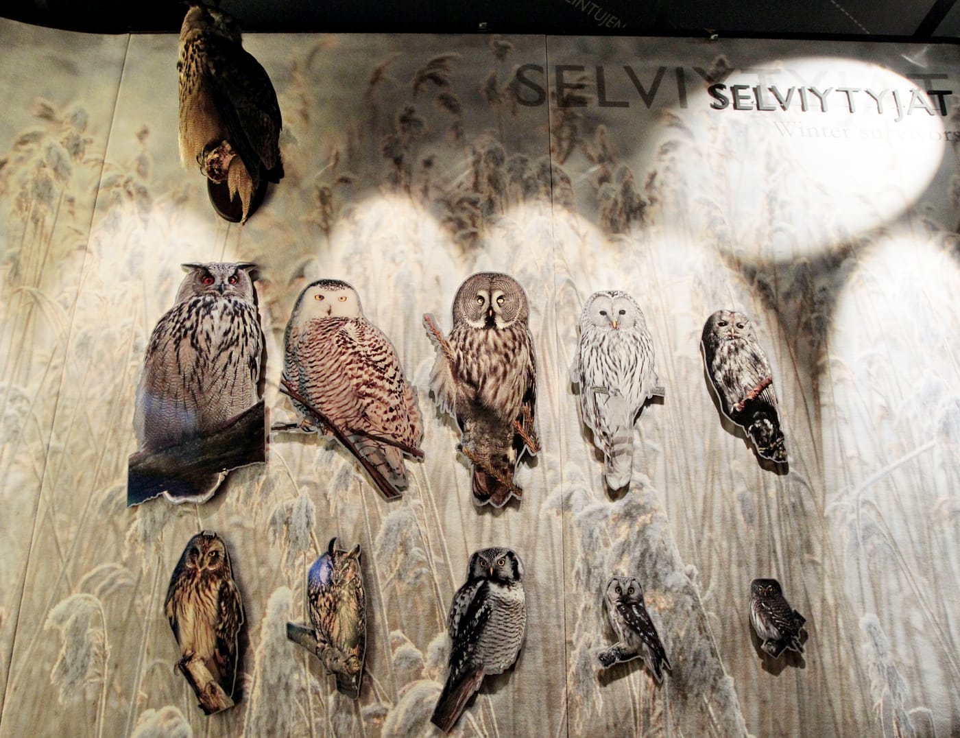 7 Interest On 24 000