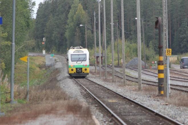 Kuvituskuva: Reijo Heikkilä