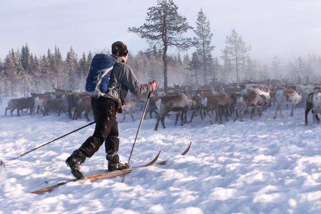 Dokumentti hiihtämisen historiasta