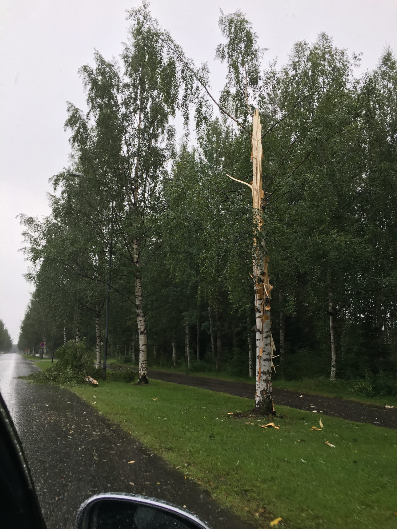 Koivun latva lensi salaman iskun voimasta useiden metrien päähän.