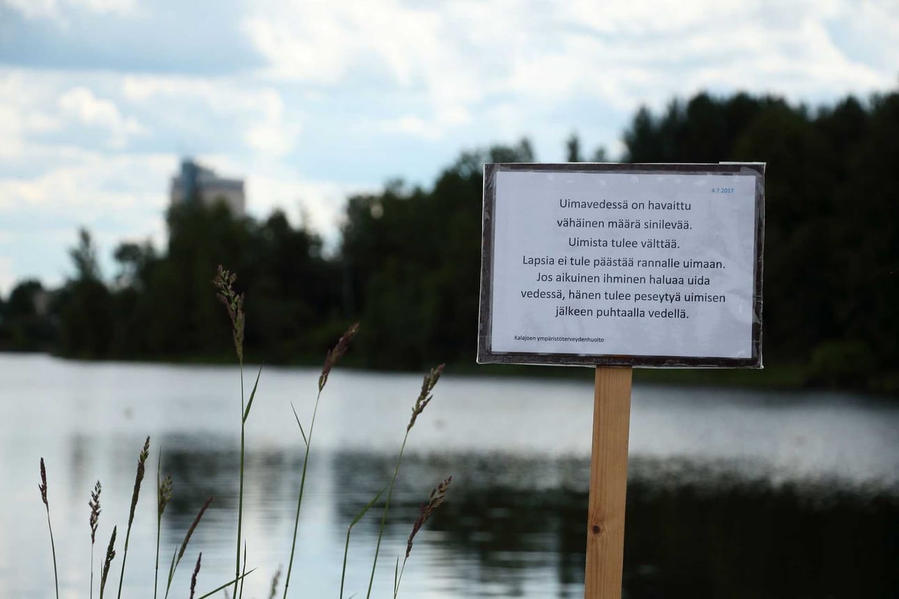 Pikkulahden sinilevästä informoidaan nyt näkyvämmin useammilla kylteillä.