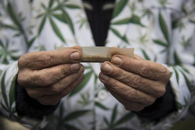 Lontoon kannabisviljelmillä arvellaan työskentelevän merkittävä määrä ihmiskaupan uhreiksi joutuneita lapsia. Ihmisoikeusjärjestön arvion mukaan Britanniassa asuu ainakin 136?000 modernia orjaa. KUVA: Will Oliver / EPA