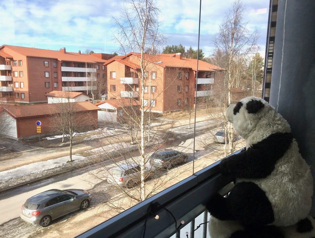 Nalle kurkistaa ikkunasta Laanilassa Oulussa. Myös Nallehaaste rantautui ikkunoihin koronakriisin myötä.