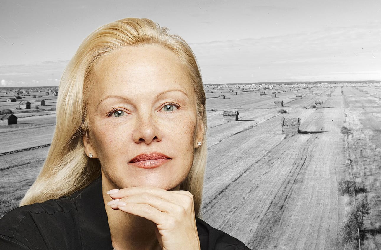 Näyttelijä Pamela Anderson kertoo Vogue Scandinavia -lehdessä haluavansa matkustaa Suomeen tutkimaan sukujuuriaan ja itseään.