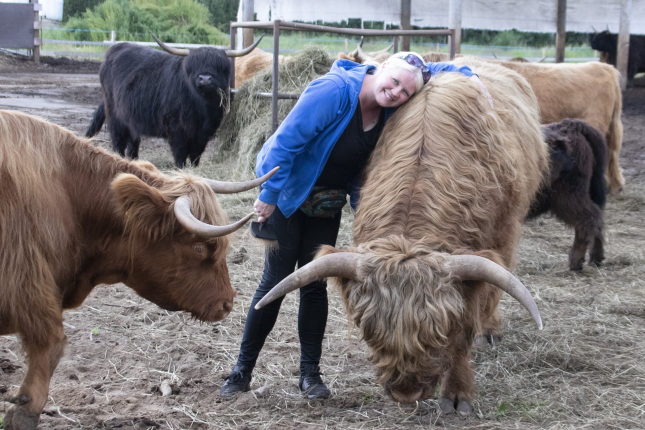 Johanna Sovisalo esitteli yleisölle karjatilan toimintaa. Dallu-sonnista puhuessa hän halasi sonnia kertoi, kuinka rakkaita eläimistä tulee.