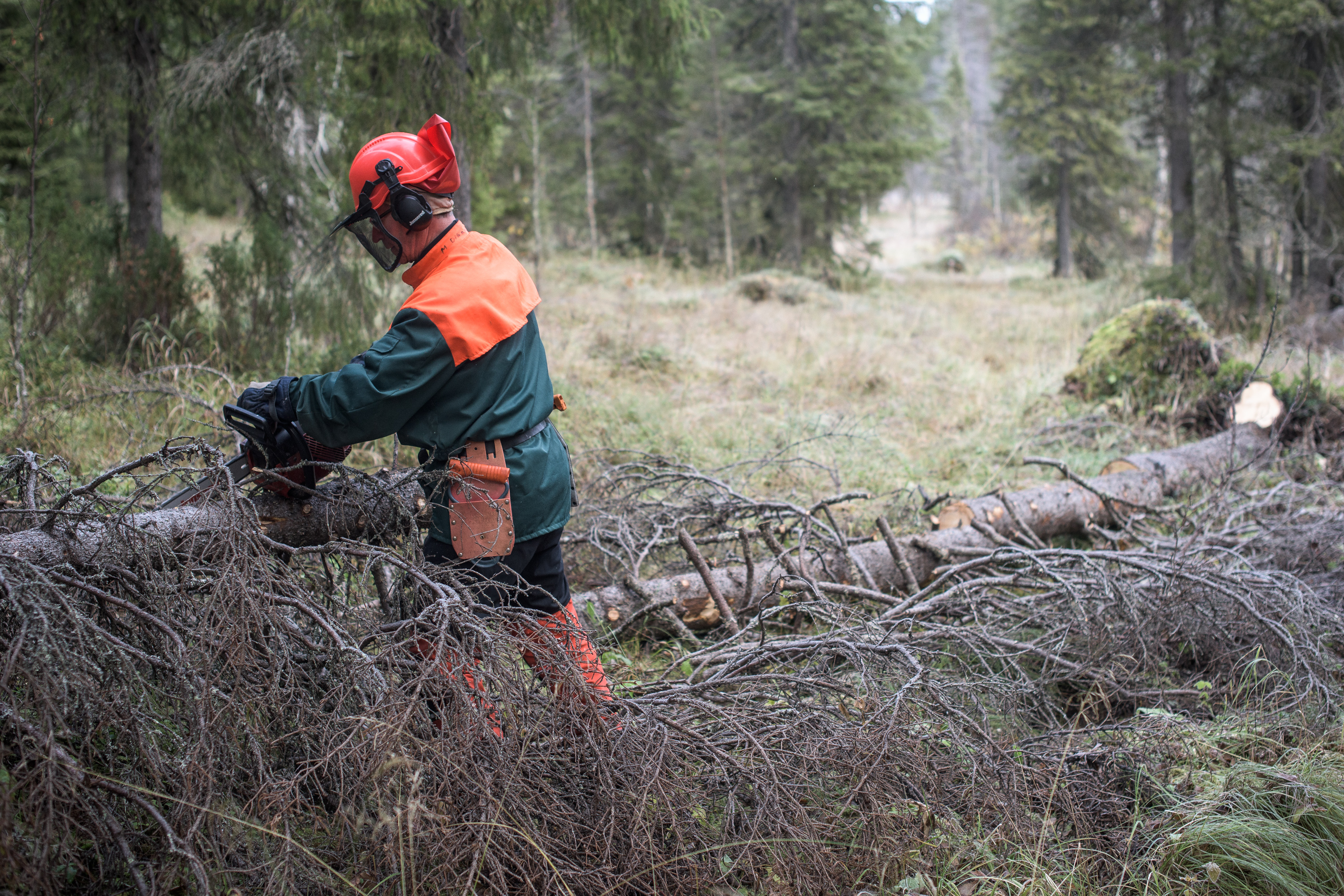 Rukalla kerätään jälleen latumaksua – viime talvena rahaa tuli yli odotusten