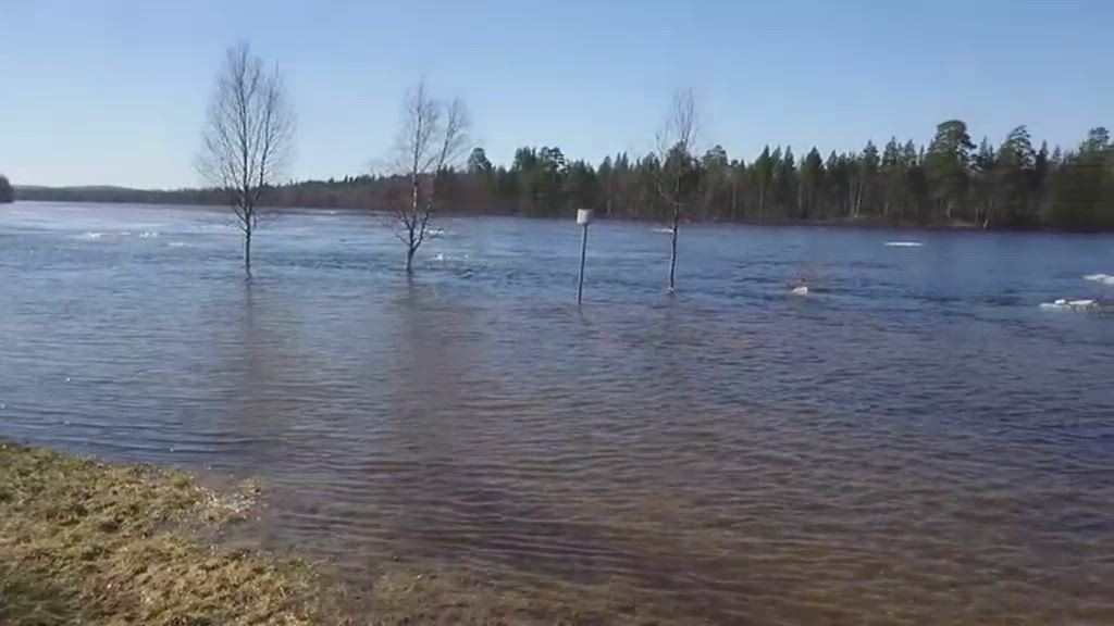 Ivalo river campingin alue jää Ivalojien tulvan alle