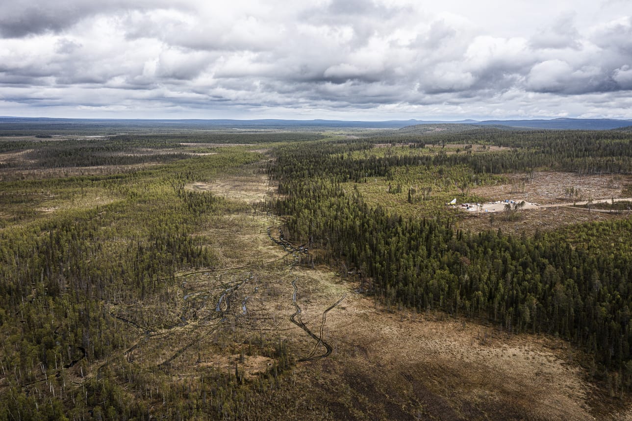 Ikkarin kulta löytyi kuvassa näkyvältä alueelta parkkipaikan vieressä olevan metsänreunan ja kuvan vasemmassa alakulmassa olevan metsäsaarekkeen välistä vuonna 2019.