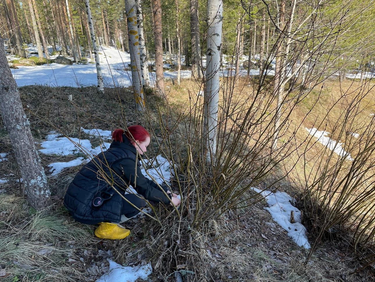 Rantsilan palokuntanaiset ovat piilotelleet eri puolille keskustaa pääsiäismunia. Munien etsintä on lupa aloittaa perjantaiaamuna kello 9.
