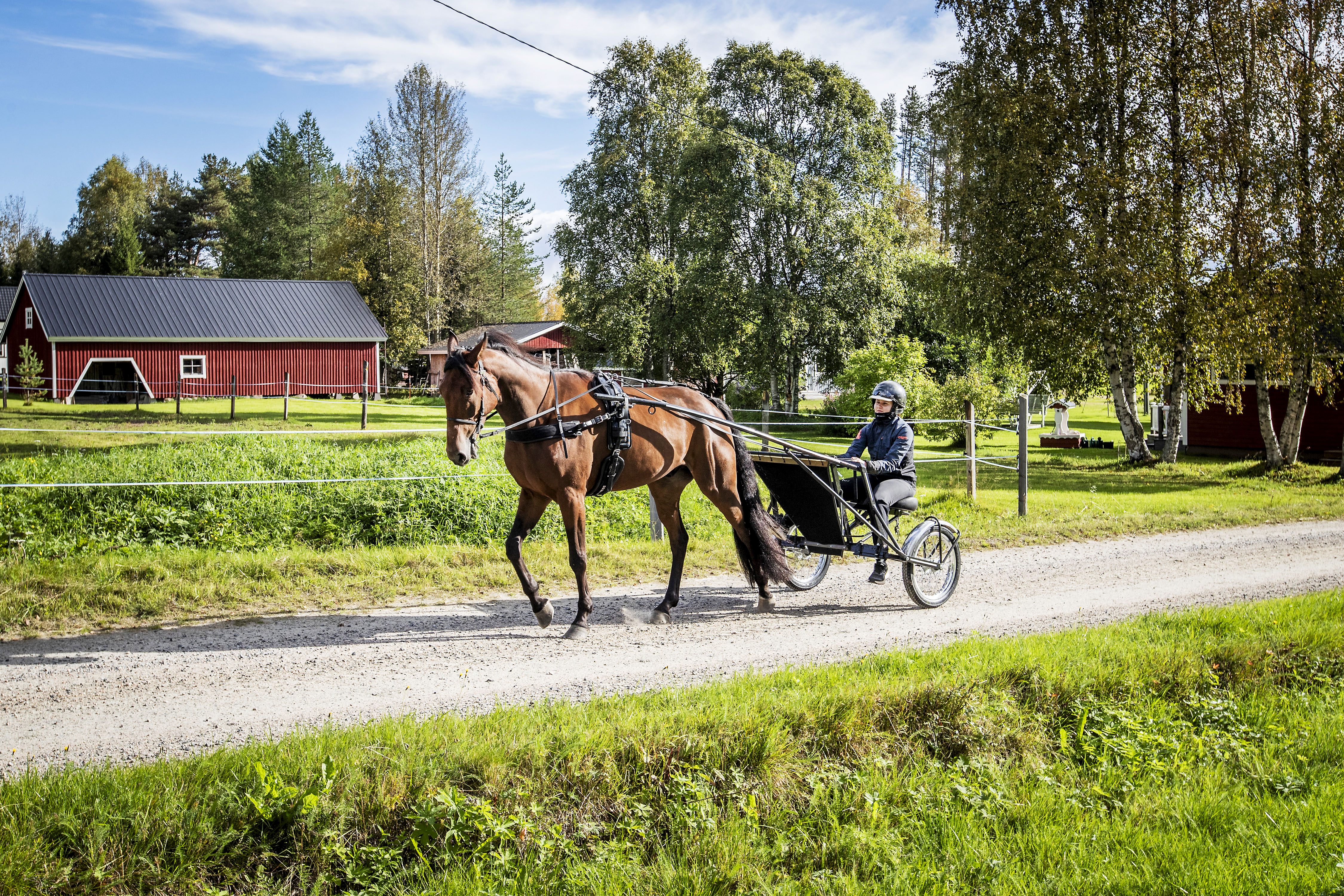 Pelkosenniemeläistä Anni Uotilaa lykästi heti uran alkutaipaleella – "Harva valitsee oman hevosen kuskiksi aloittelijaa"