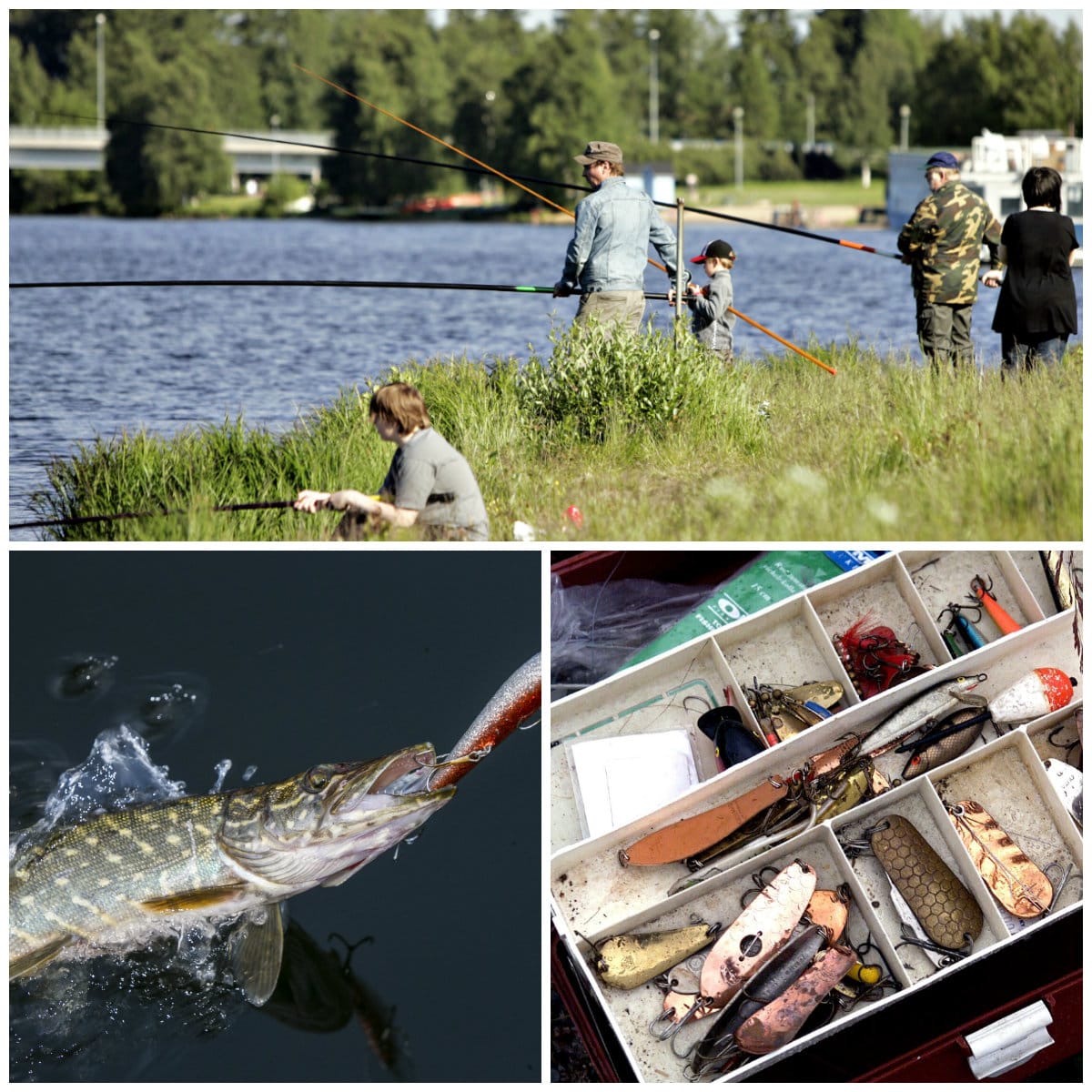 Kalakuvakisassa etsitään tunnelmallisia kalastuskuvia.