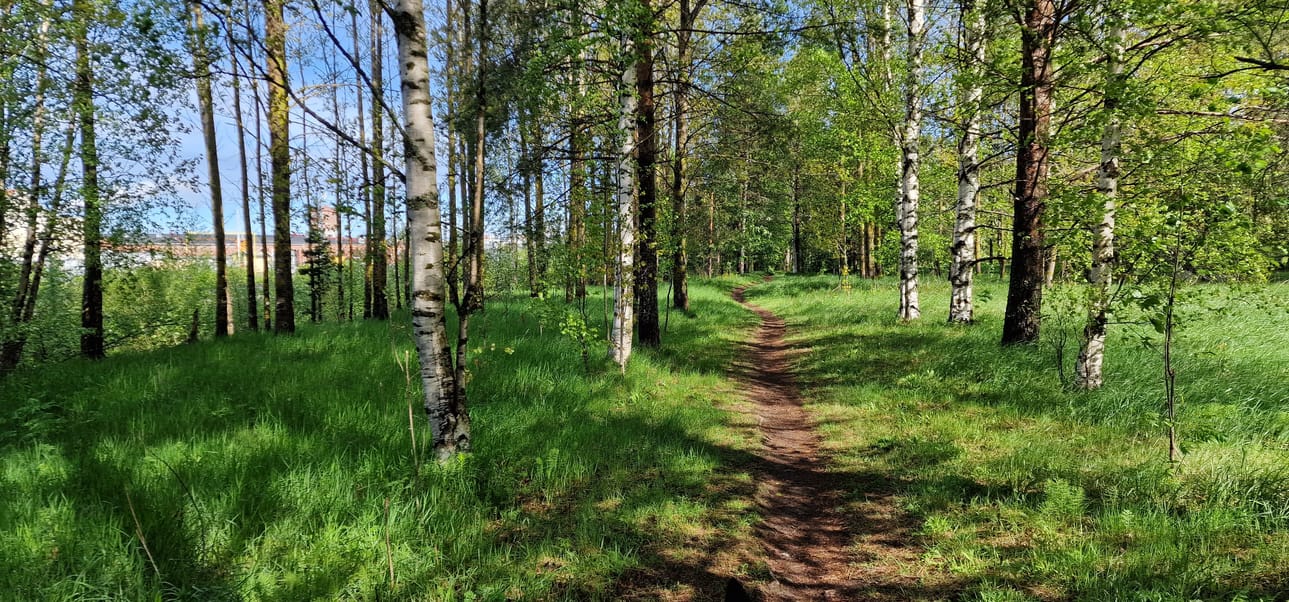 Tulevalla viikolla on luvassa tyypillistä suomalaista kesäsäätä.