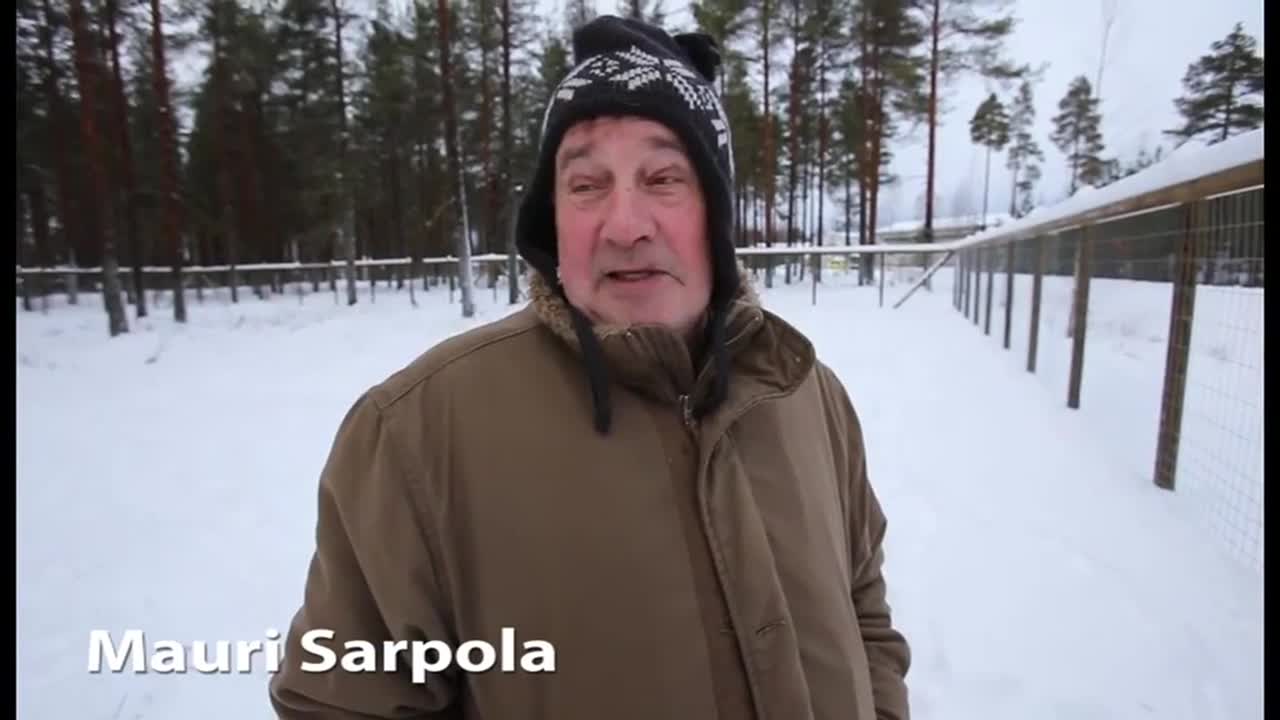Vihannin koirapuisto