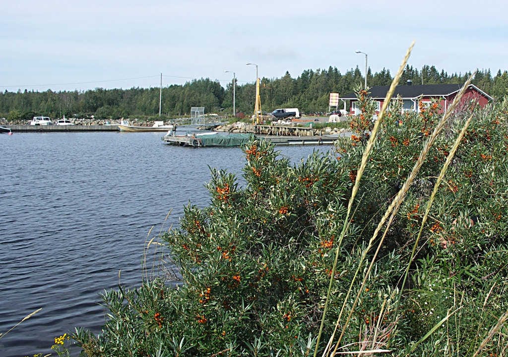 Fennovoima toivoo, ettei Karsikon ydinvoimamaakuntakaavaa purettaisi