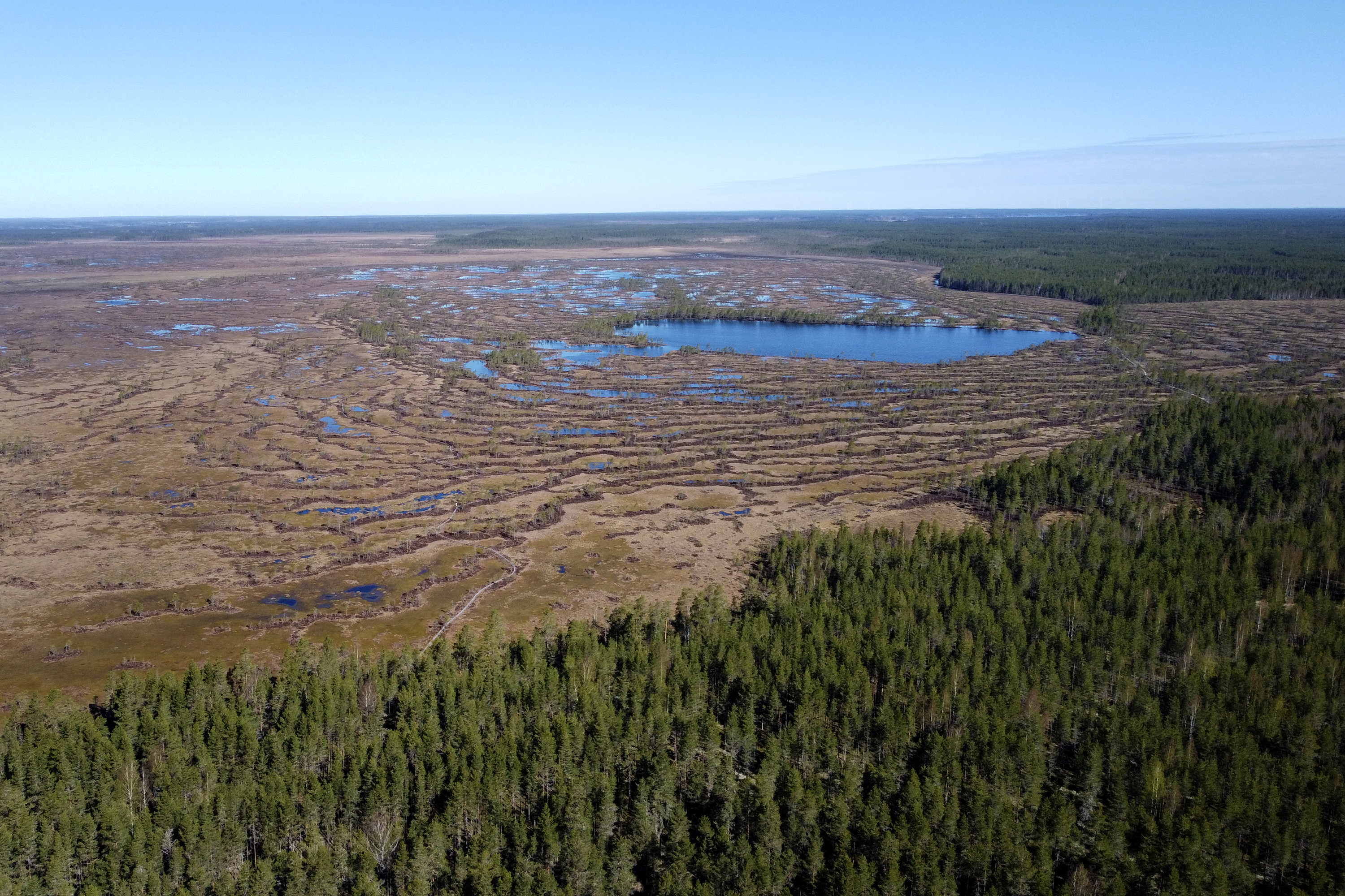 "Terassikierros tehtiin, ja torniin mentiin" – Kansallispuistoissamme retkeilleet ensikertalaiset kuvailevat mielenkiintoisia kokemuksiaan