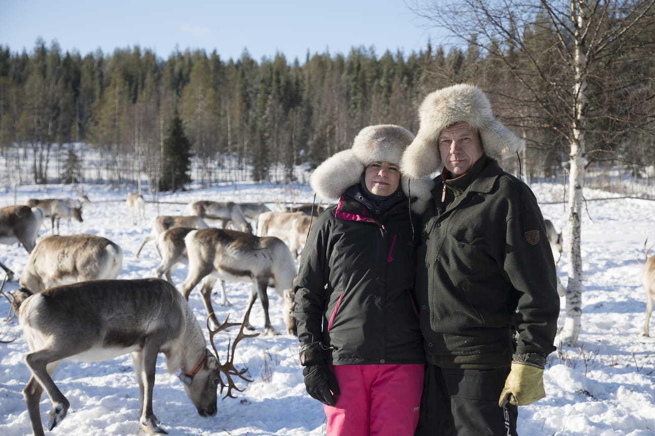 Taivalkosken Loukusan kylältä käsin Tunturi LKV -kiinteisövälitysfirmaa hoitavat Sari ja Mika Käsmä ovat havainneet, että maaseudun mummonmökkejä pienine metsäpalstoineen kysellään Keski-Euroopasta saakka. Siellä osataan arvostaa omaa maata ja omia puita.