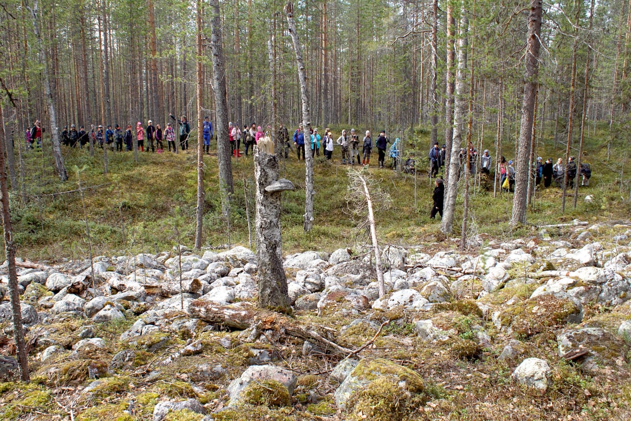 Kauniinlamminvaarassa näkyy vielä merkkejä viimeisimmästä jääkaudesta. Muinaisrannan kivikkoa ovat aikoinaan huuhdelleet sen meri- ja järvivaiheet.