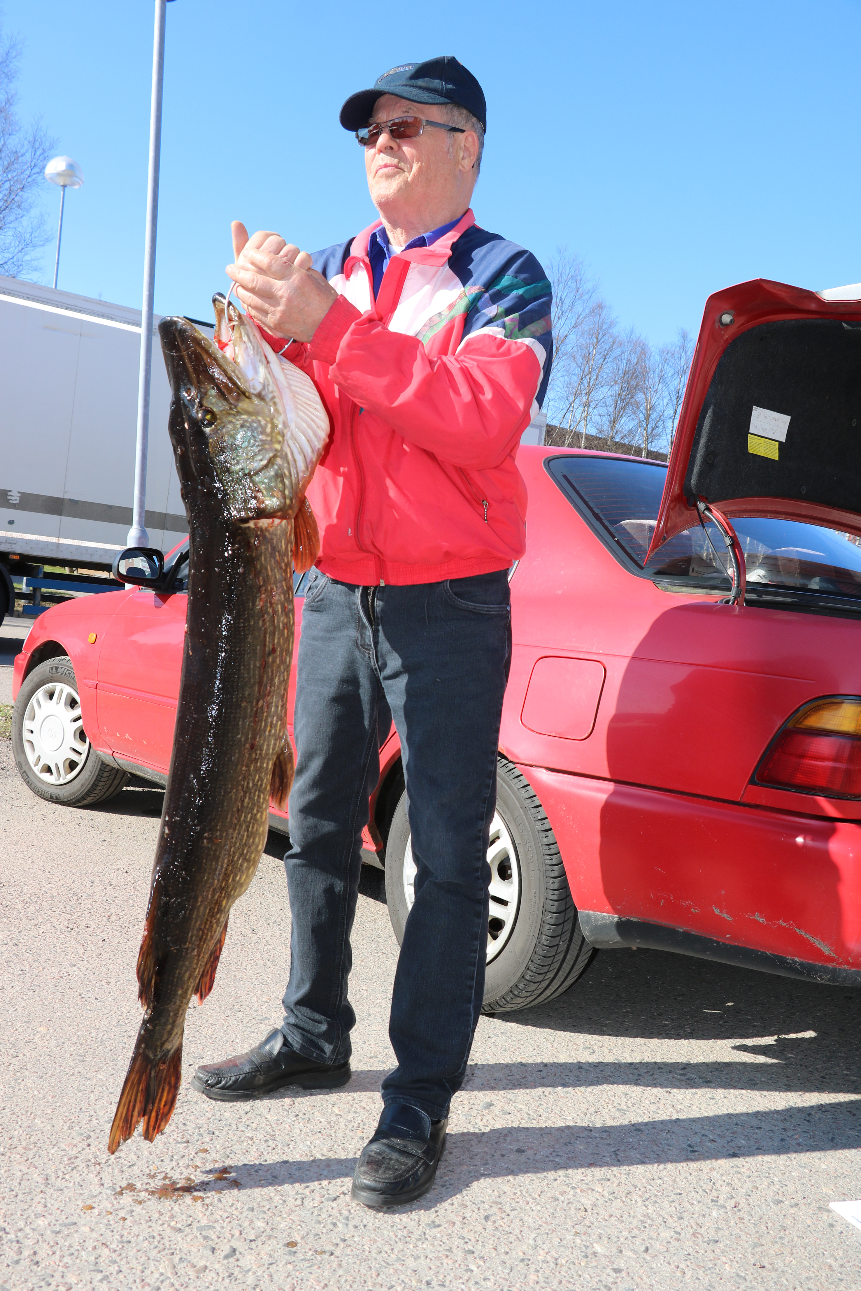 Niilo Nikumatti sai elämänsä suurimman kalansaaliin. Hauella on painoa 13,5 kilogrammaa.