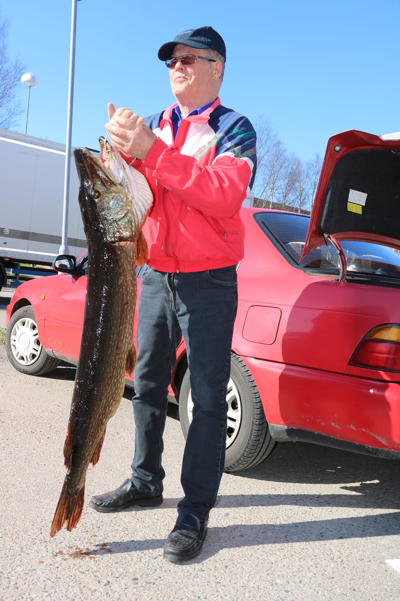Niilo Nikumatti sai elämänsä suurimman kalansaaliin. Hauella on painoa 13,5 kilogrammaa.