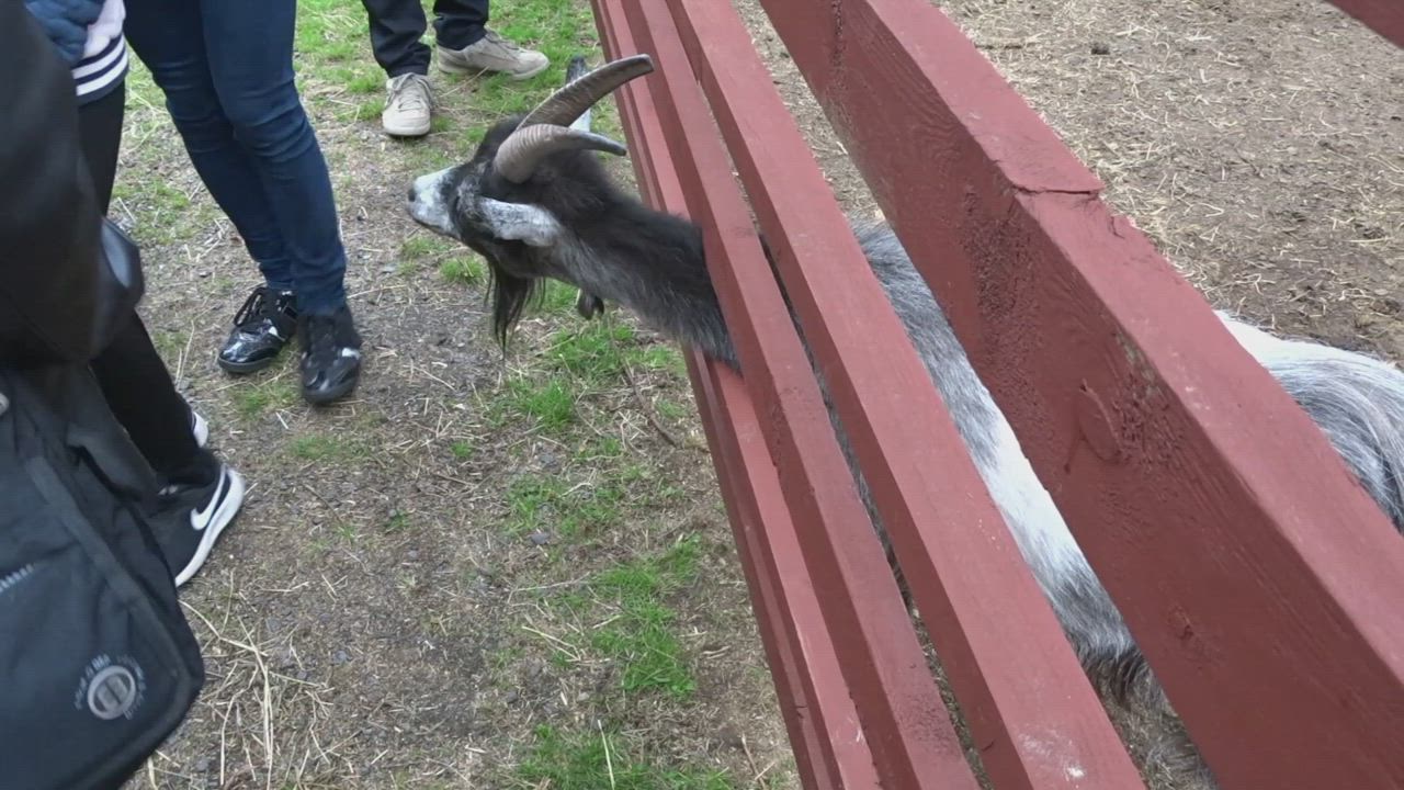 Kesäpäivä Hietasaaressa