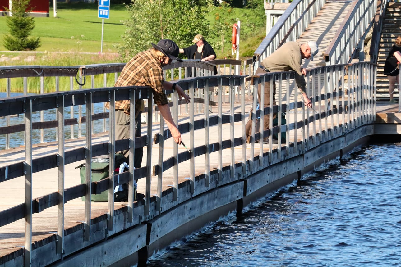 Kuusamon uistinseura järjestää kesäisiä siltapilkkikilpailuja Kirkkosaaren silloilla nyt toista kesää.