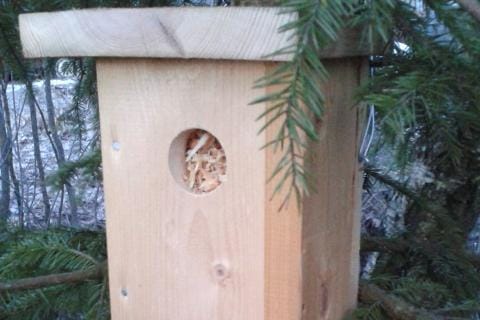 Kirjoittajan ottama kuva lastuilla täytetystä tiaispöntöstä