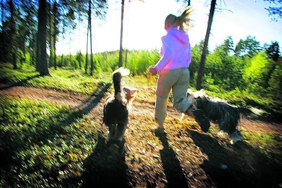 "Ihmiset pitää saada ottamaan vastuu omasta hyvinvoinnistaan, mutta se ei onnistu haukkumalla vaan opettamalla heidät liikkumaan oikein", testauspäällikkö Matti Heikkilä sanoo.