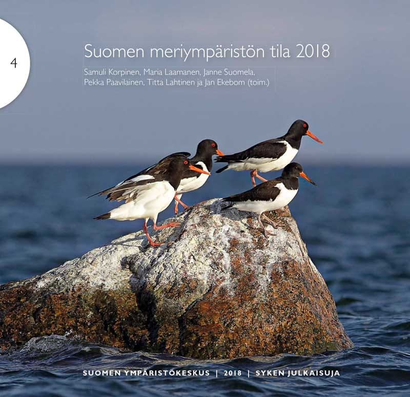 Raportti Suomen meriympäristön tilasta on julkaistu suomeksi ja ruotsiksi.