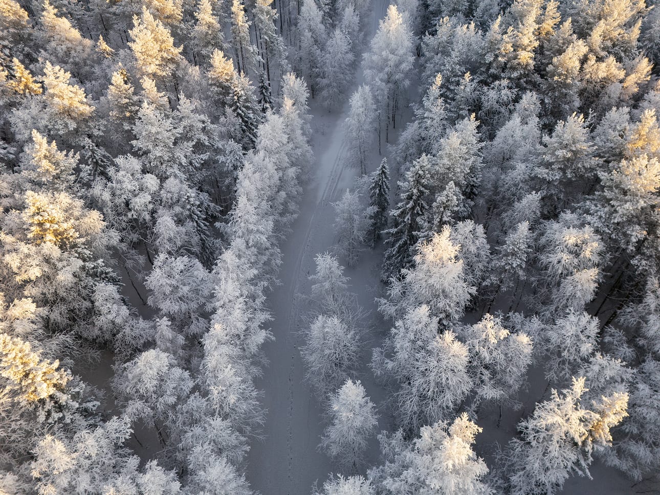 Rannat ja mökkitiet ovat monin paikoin jääkannen valtaamia. Kuva on Kiiminkijoen tuntumasta Utajärven Sanginkylältä.