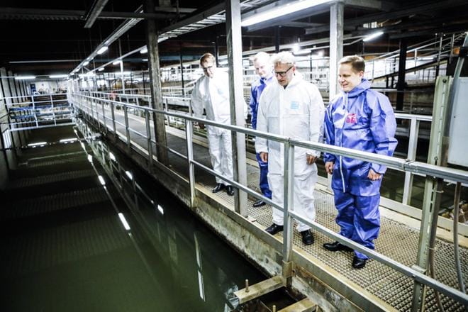 Ympäristöministeri Kimmo Tiilikainen vieraili sunnuntaina Rovaniemellä kertomassa hallituksen rahoittamista kiertotalouskokeiluista. Vierailua isännöivät Napapiirin Energia ja Vesi Oy:n toimitusjohtaja Kristian Gullsten ja hallituksen puheenjohtaja Lasse Kontiola. Oikealla kansanedustaja Markus Lohi. KUVA: Jouni Porsanger
