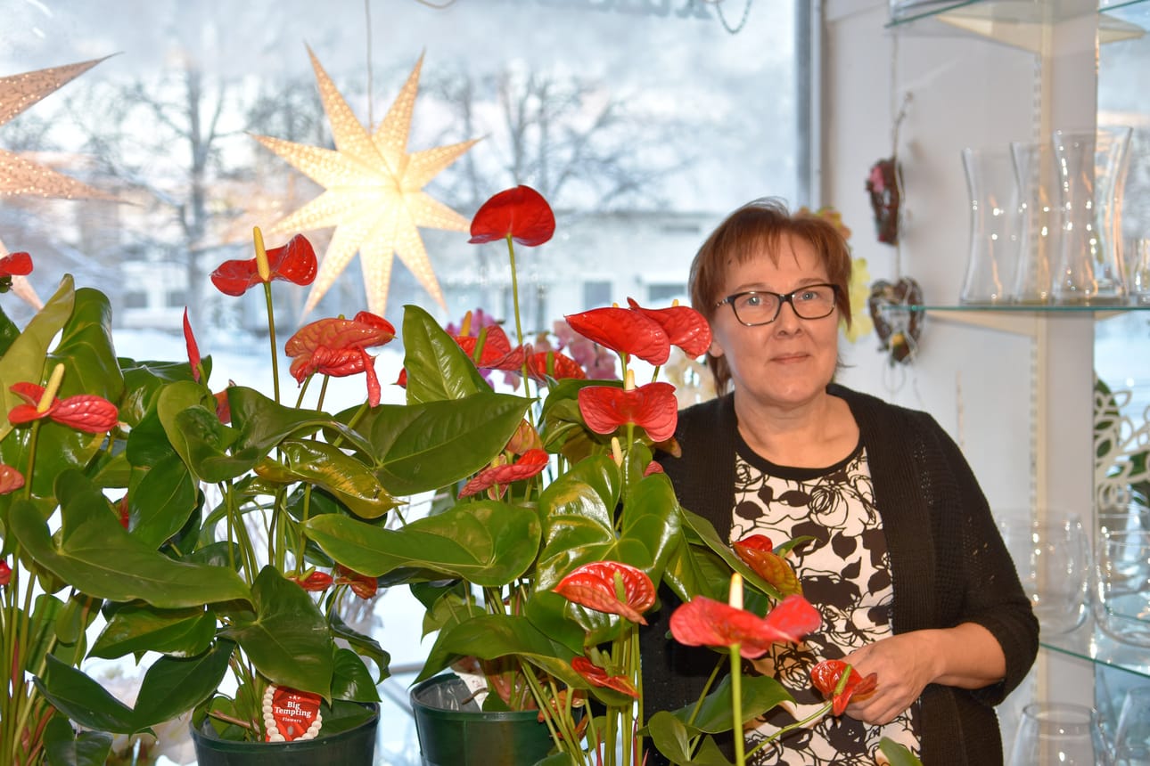 –¿Punaiset flamingonkukat olivat viime jouluna suosittuja, kertoo floristi Eija Kuosku.