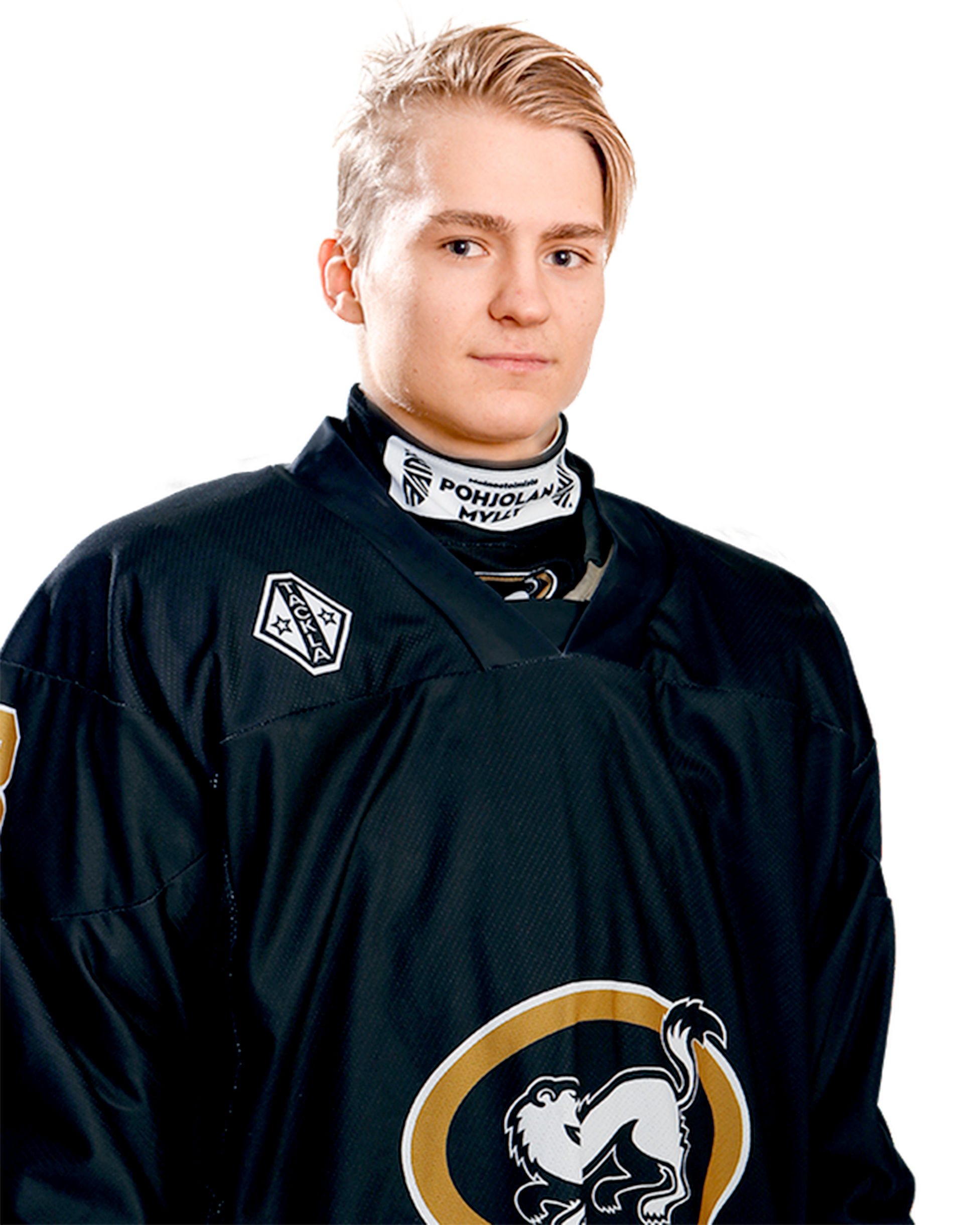 Julius 
Hermonen
