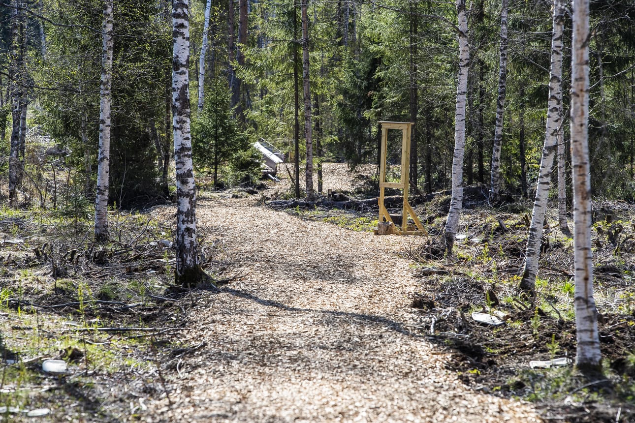 Raahessa valmistaudutaan kumoamaan vanha kaava alueelta, jolla sijaitsee Kuusiluodon metsäpolku. Kaavan kumoamisen nähdään helpottavan alueen kehittämistä yleishyödyllisenä luontopolkuna.