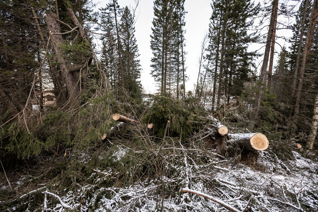 Hannes-myrskyn korvausasioissa riittää selviteltävää pitkälle kevääseen. Kuva Ilolinnantieltä.