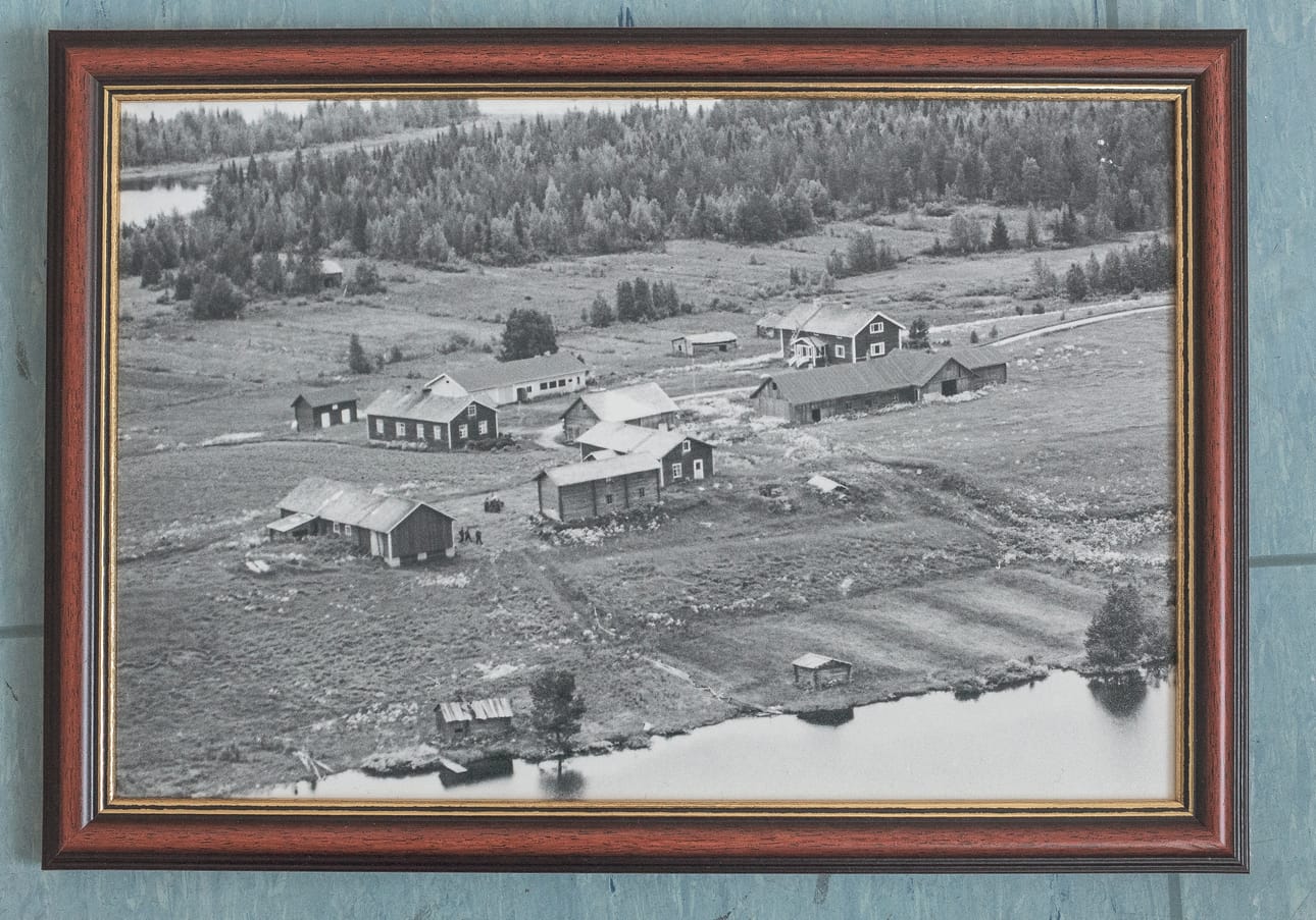 Korteniemen taloista Harju on kuvassa etualalla. Kesällä 1968 talo oli jo kesäpaikkana. Pihalla on Hyrkkään väkeä, jotka niittivät talon peltoja.