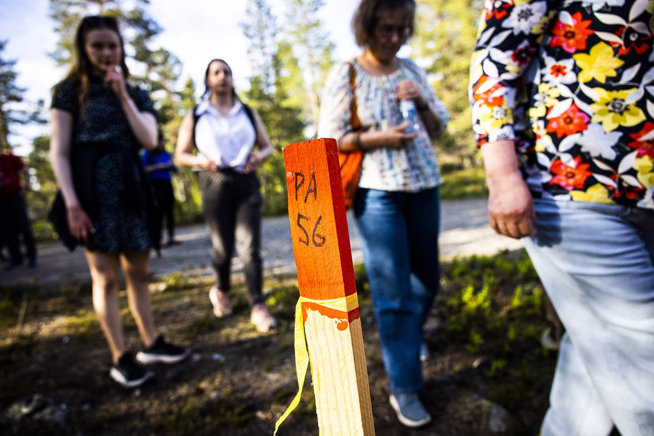 Rovaniemeläiset kävivät äsken kaavakävelyllä Ounasvaaralla.
