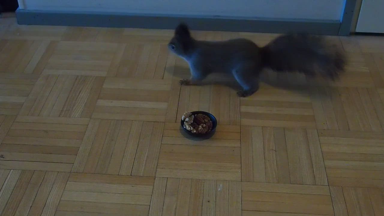 Takun aamiainen noutopöydästä