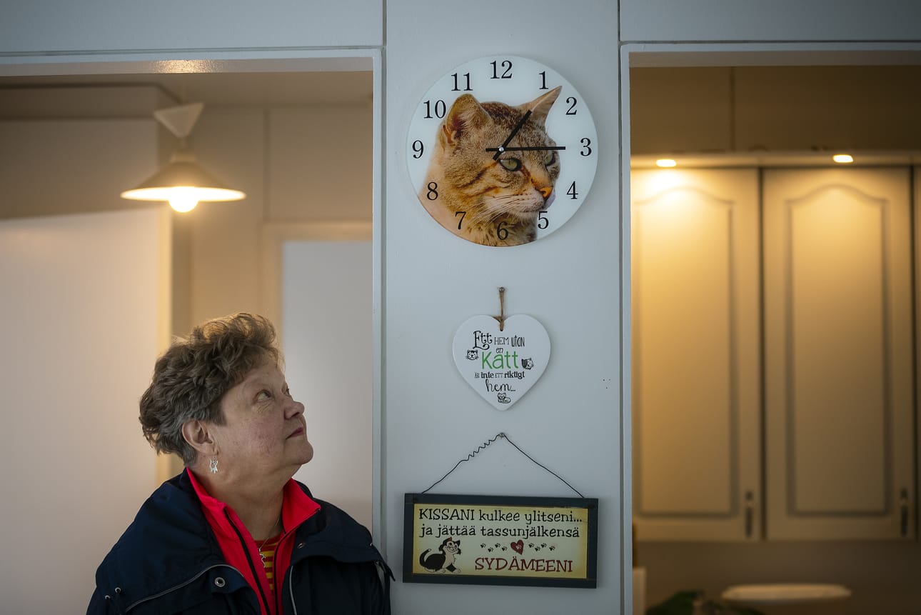 Isolahdessa kaikki oli valmiina kissojen muuttoa varten, mutta hanke kaatui viime hetkellä valitukseen. Nyt Kirsti Koivulan johtama yhdistys on kahden talon loukussa.