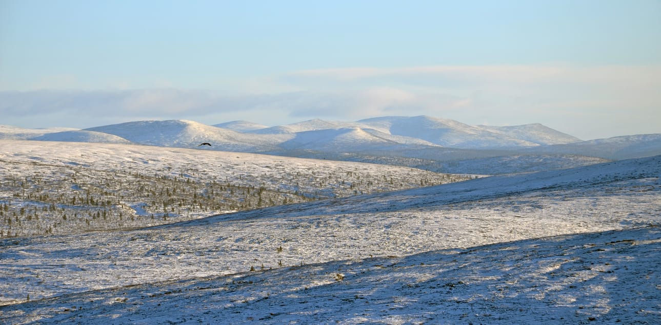 Urho Kekkosen kansallispuiston alue kasvaa.