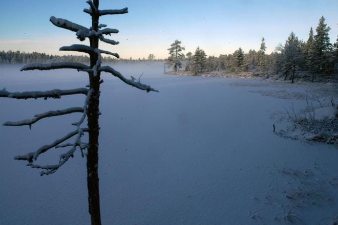 Esimerkiksi Lauhanvuori on jo nyt suosittu luontomatkailukohde. Geopark-hankkeen myötä sinne ehkä saadaan lisää ulkomaalaisia kävijöitä. KUVA: PEKKA RAJALA