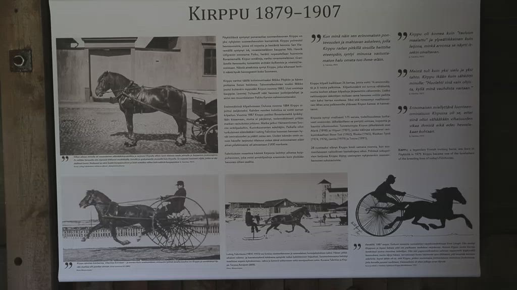 Miksi Kirppua kaivetaan haudastaan?