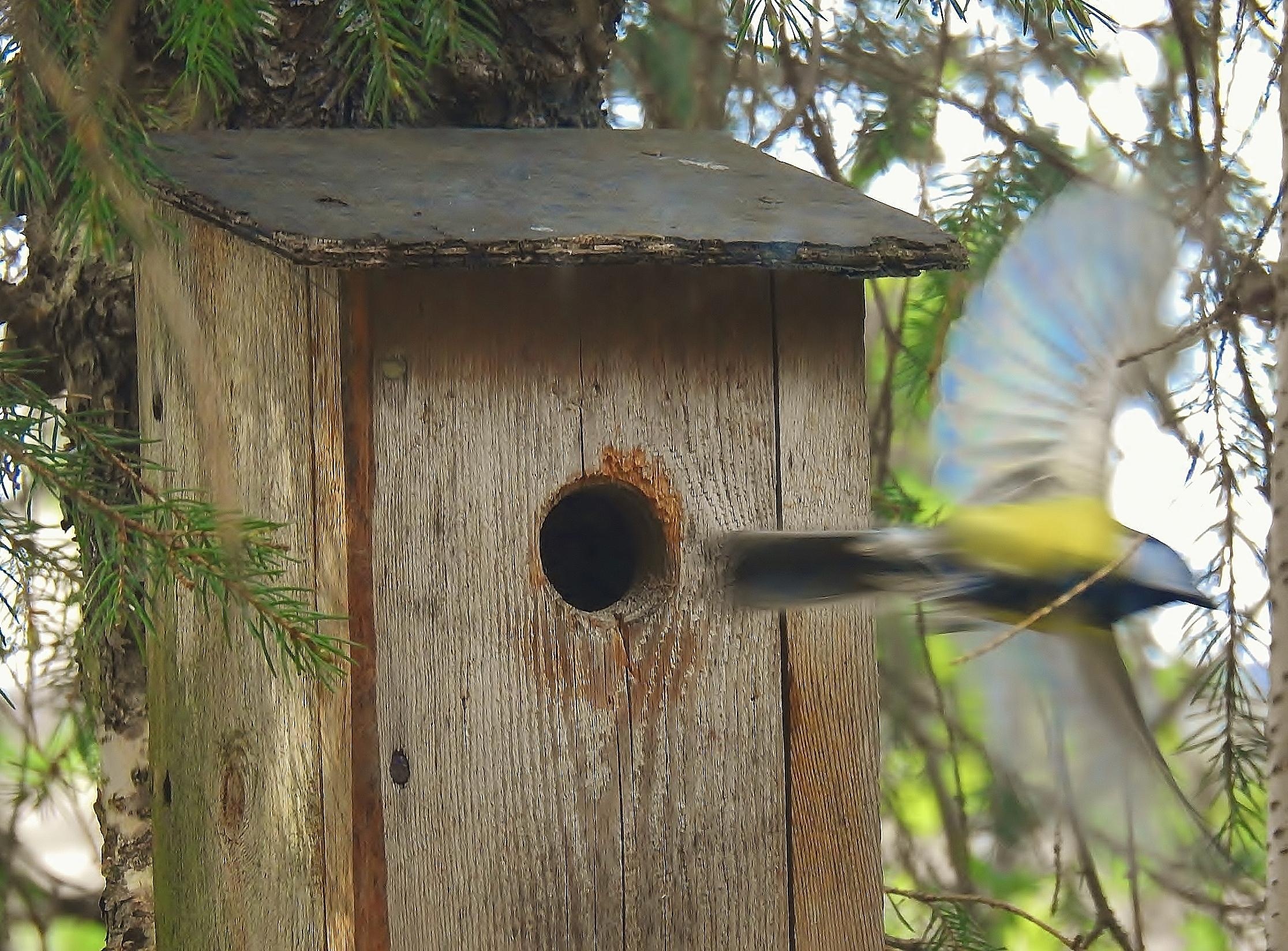 Kesäkuun 2025 lukijakuvat