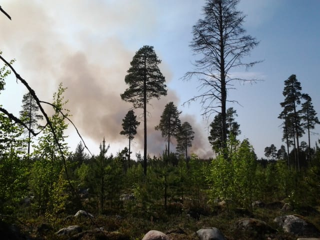 Iissä torstaina syttynyt maastopalo sai alkunsa todennäköisesti salamaniskusta. Hätäkeskus sai ilmoituksen voimakkaasti savuavasta maastopalosta hieman ennen neljää torstaina iltapäivällä.