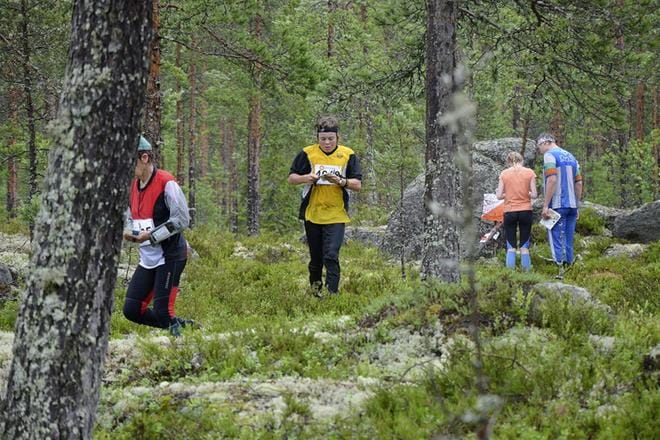 Lakeuden Viesti kisataan samoissa kisamaastoissa kuin vuoden 2012 FIN5-kisa ja vuoden 2001 Nikkari-Jukola. Näkymät ovat kuitenkin noista vuosista metsässä jonkin verran muuttuneet. KUVA: JURVAN SANOMIEN ARKISTO