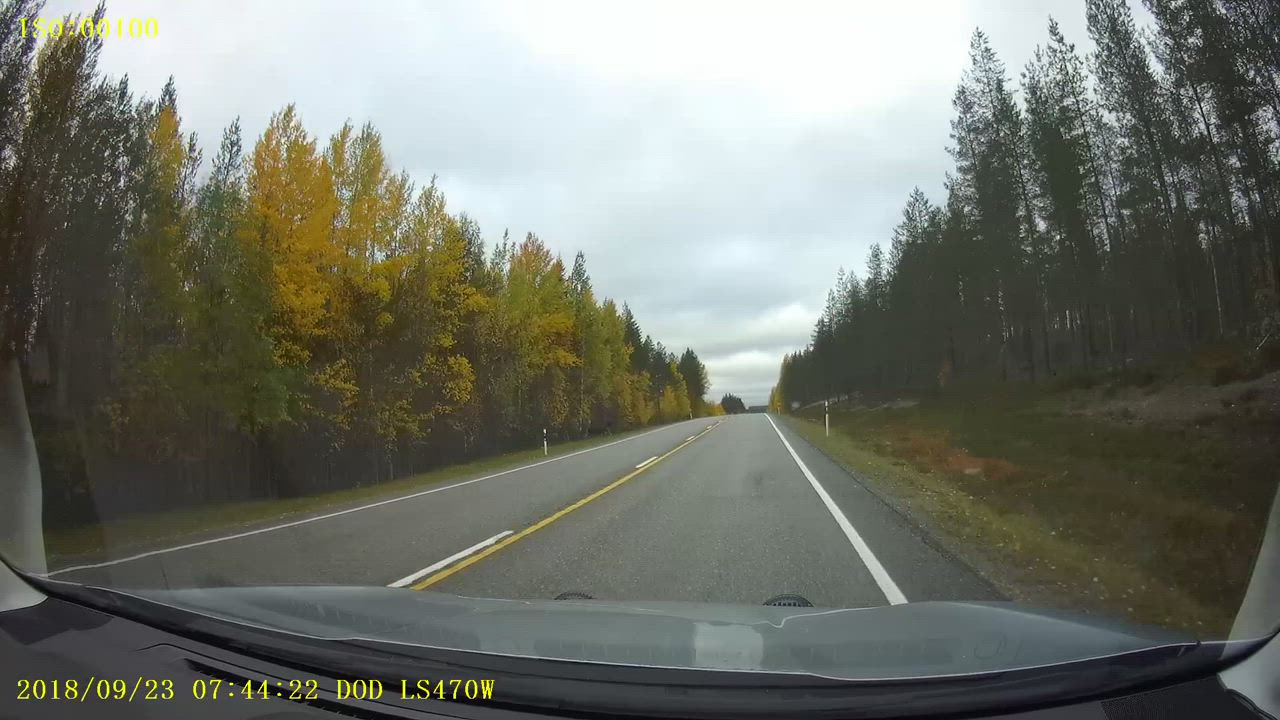 Hirvi juoksi auton edestä Taivalkoskella